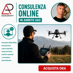 Consulenza online in ambito Uas